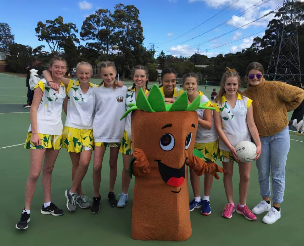 Netball Guides – Sylvania Heights Netball Club