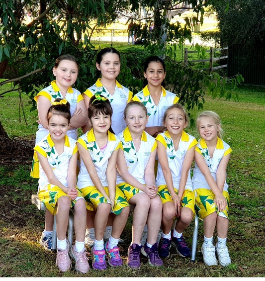 Join Sylvania Heights Netball Club: Top Junior Netball Club in ...